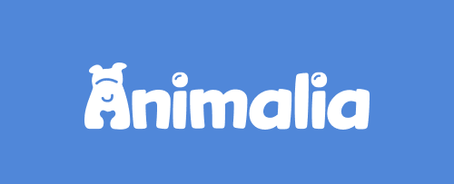 Animalia logo